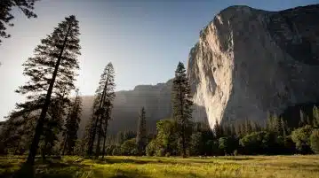 landmark photography of trees near rocky mountain under blue skies daytime